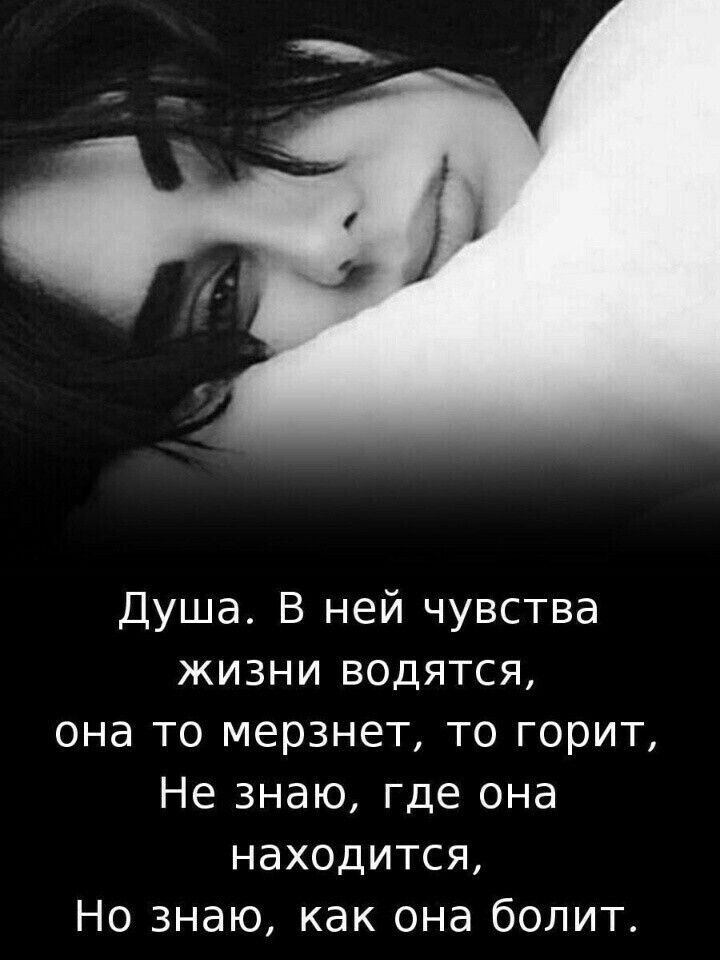 Душа В ней чувства жизни водятся она то мерзнет то горит Не знаю где она находится Но знаю как она болит