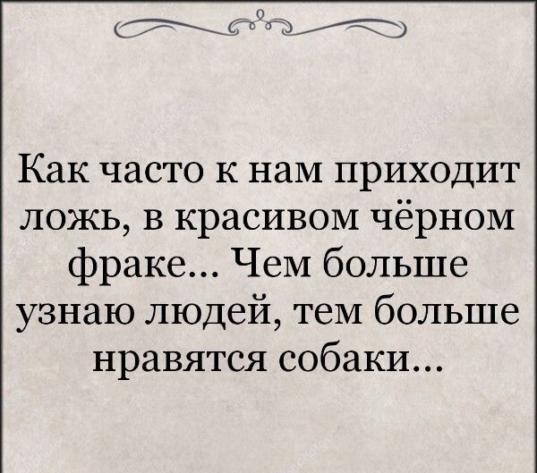 СЖЁЗЕЁЖЭ Как часто к наМ приходит ложь в красивом чёрном фраке ЧеМ больше узнаю людей теМ больше нравятся собаки