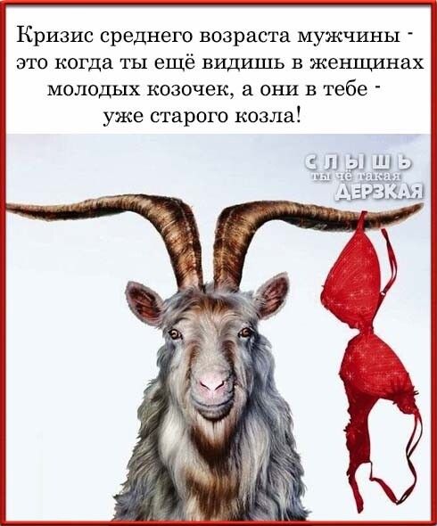 Кризис среднего возраста мужчины ЭТО когда ТЫ ещё ВИДИШЬ В женщинах МОЛОДЬШ коаочек а ОНИ В тебе уже старого козла