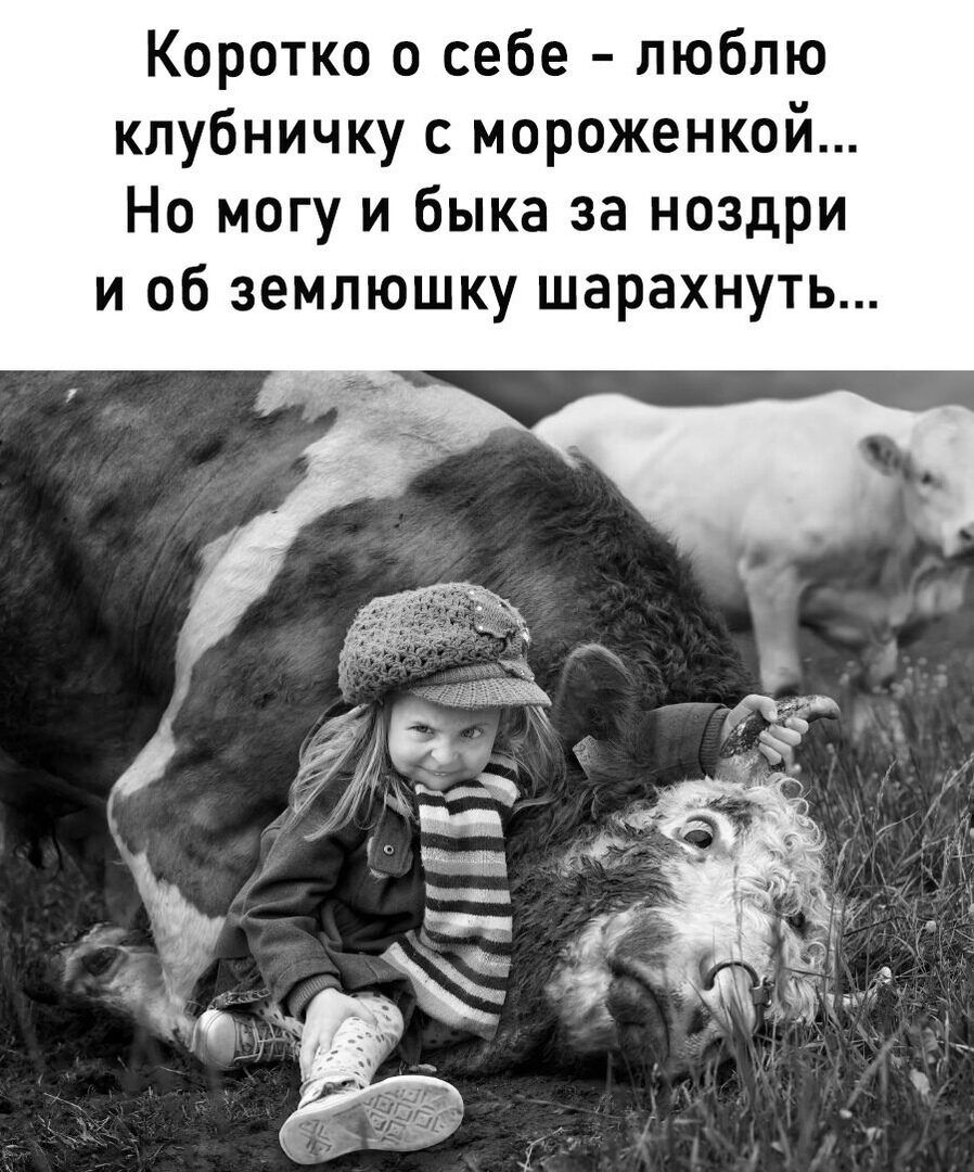 Коротко о себе люблю клубничку с мороженкой Но могу и быка за ноздри и об землюшку шарахнуть