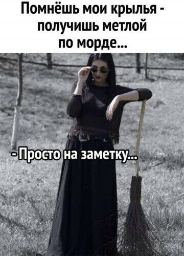 Помнёшь мои крылья получишь метлой по морде