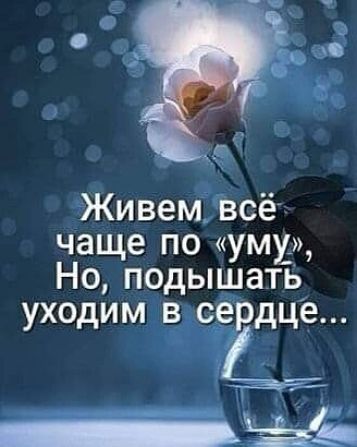 Живемдвсё чаще по уму__ Но подышать уходим в сердце 4 _