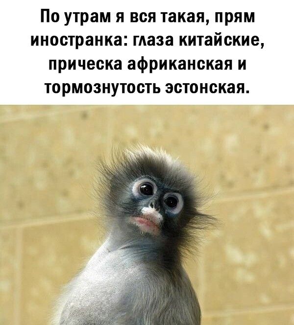 По утрам я вся такая прям иностранка маза китайские прическа африканская и тормознутость эстонская
