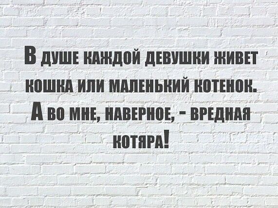 В душе шпилей девушки живи ипшнп или мдпіньний нотънпи А во мнъ нпвігиоь видим пот