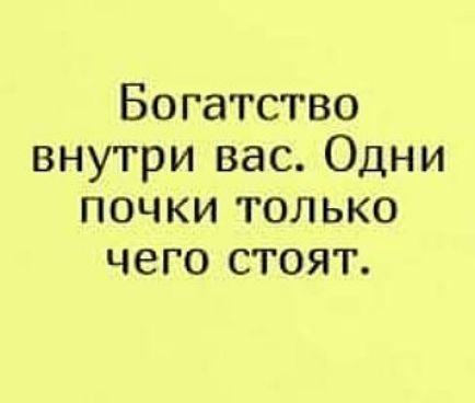 Богатство внутри вас Одни почки только чего стоят