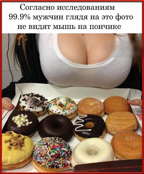 Согласно исследованиям 999 мужчин глядя на это фото не видят мышь на пончике