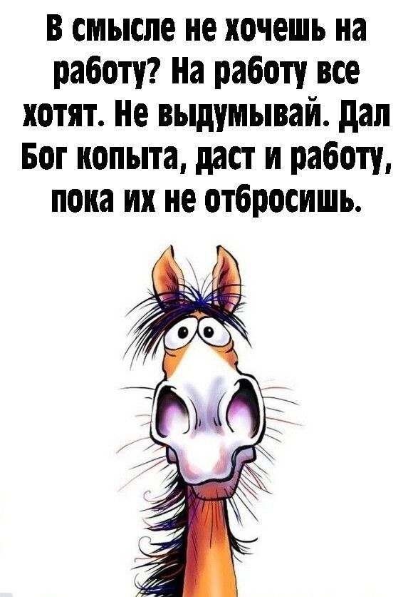 в смысле не хочешь на работу На работу все хотят Не выдумывай дал Бог копыта даст и работу пока их не отбросишь