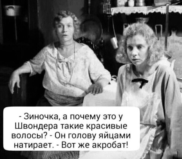 3иночка а почему это у Швондера такие красивые волосы Он голову яйцами натирает Вот же акробат