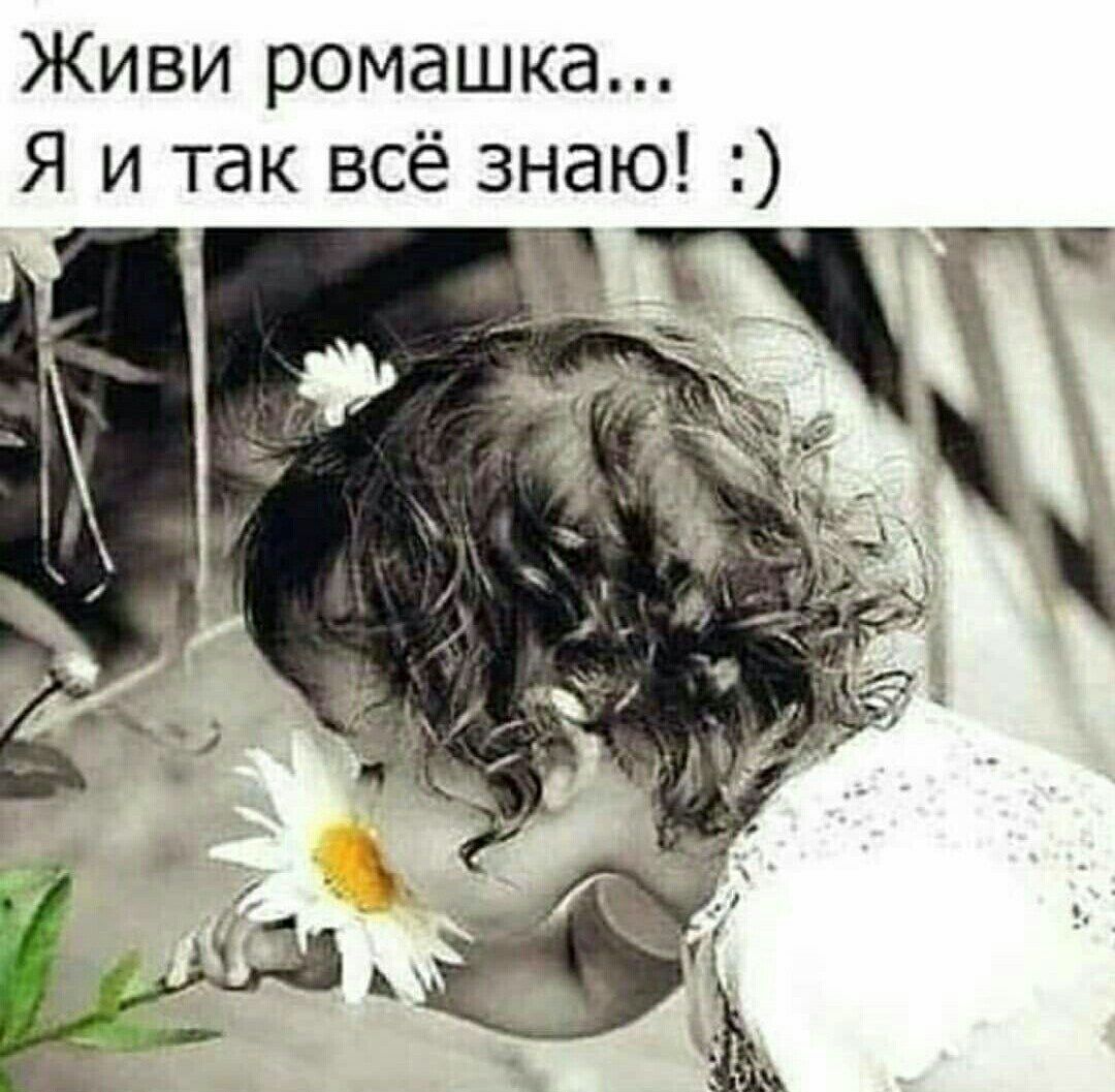 Живи ромашка Я и так всё знаю