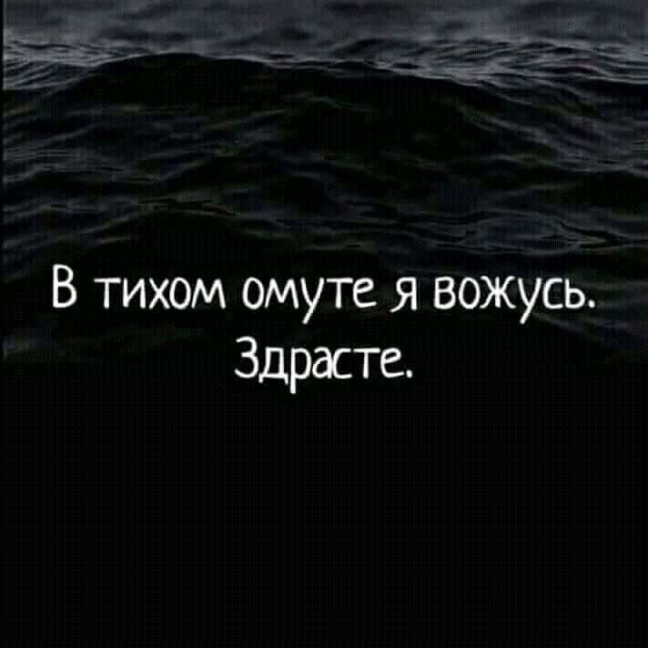 В тихом омуте я вожусь Здрасте