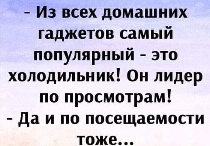 Из всех домашних гаджетов самый популярный это холодильник Он лидер по просмотрам да и по посещаемости тоже