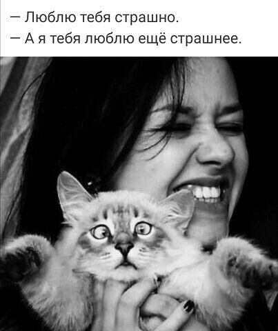 Люблю тебя страшно А я тебя люблю еще страшнее