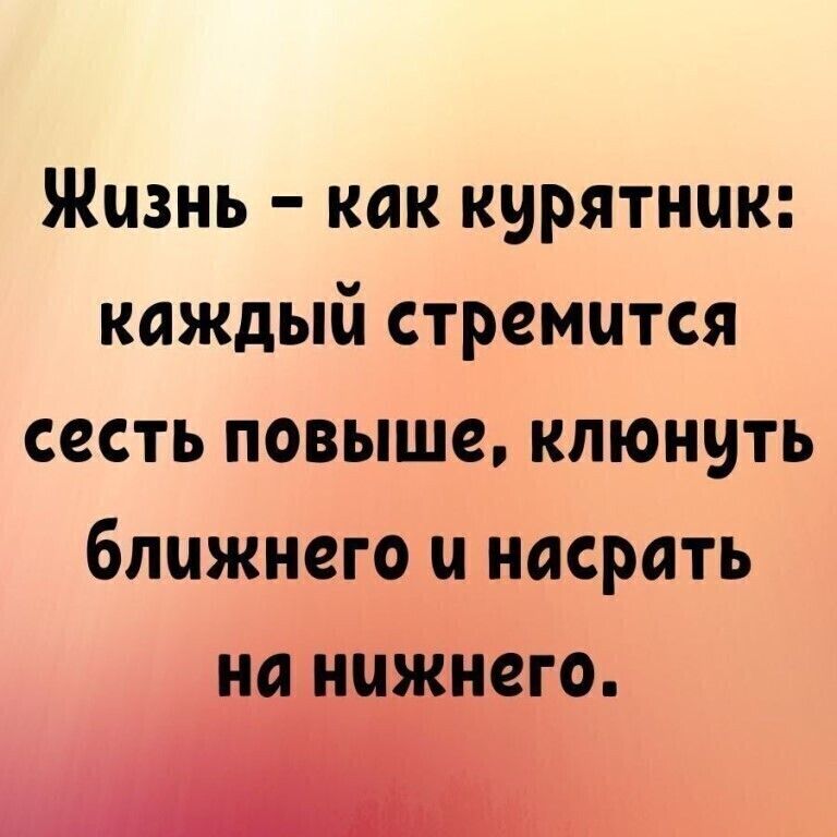Жизнь как курятник каждый стремится сесть повыше клюнить ближнего и насрать
