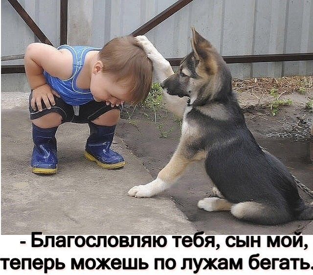 Благословляю тебясын3М теперь можешь по лужам бегать