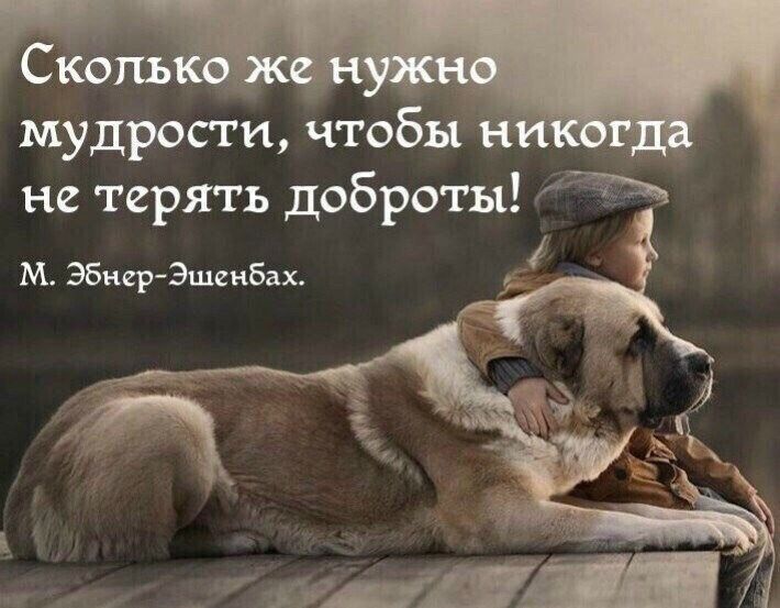 мудрости чтобы _ не терять доброты М ЭбнерЭшенбах