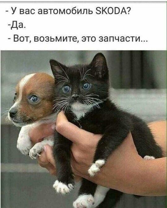У вас автомобиль ЗКОВА Да ВОТ ВОЗЬМИТЭ ЭТО запчасти
