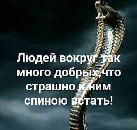 Людей вскр __ много добр