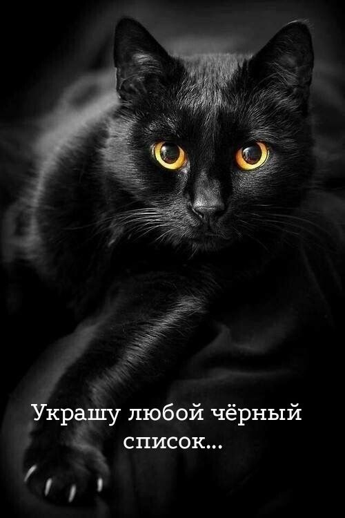 раду любой чёрный список