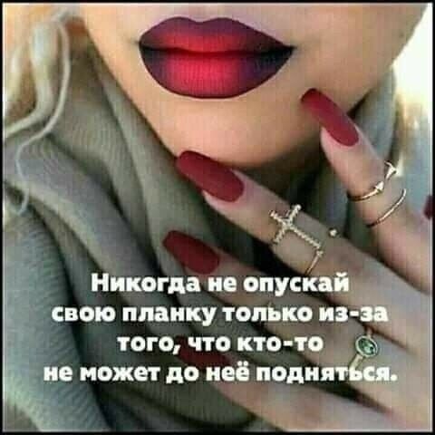 Не может до ио подн.