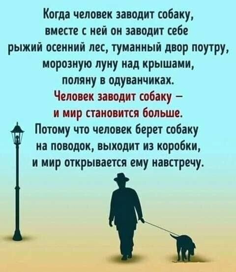 Когда человек заводит собаку вместе с ней он заводит себе рыжий осенний лес тумаииый двор поутру морозную луку иад крышами поляку в одуванчиках Человек заводит собаку и мир становится больше Потому что человек берет собаку на поводок выходит из коробки и мир открывается ему навстречу
