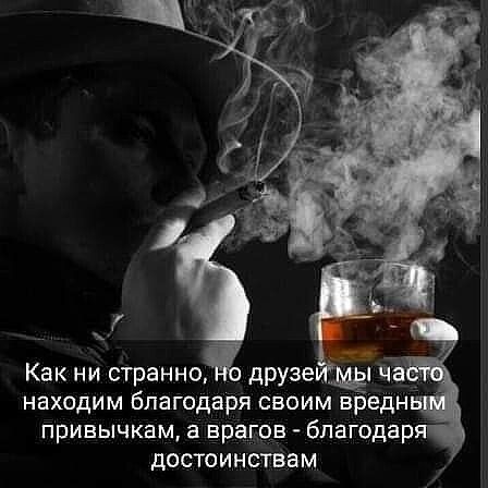 Как ни странно дРУЭе 3 ща находим благодаря своим вбедн привычкам а врагов благодар достоинствам
