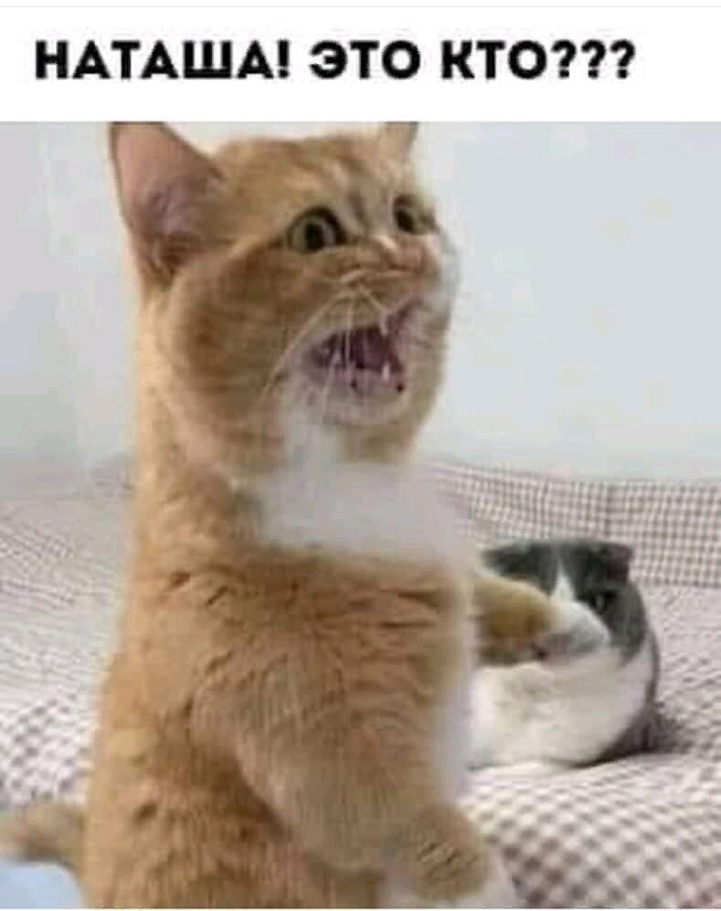 НАТАЩА ЭТО КТО