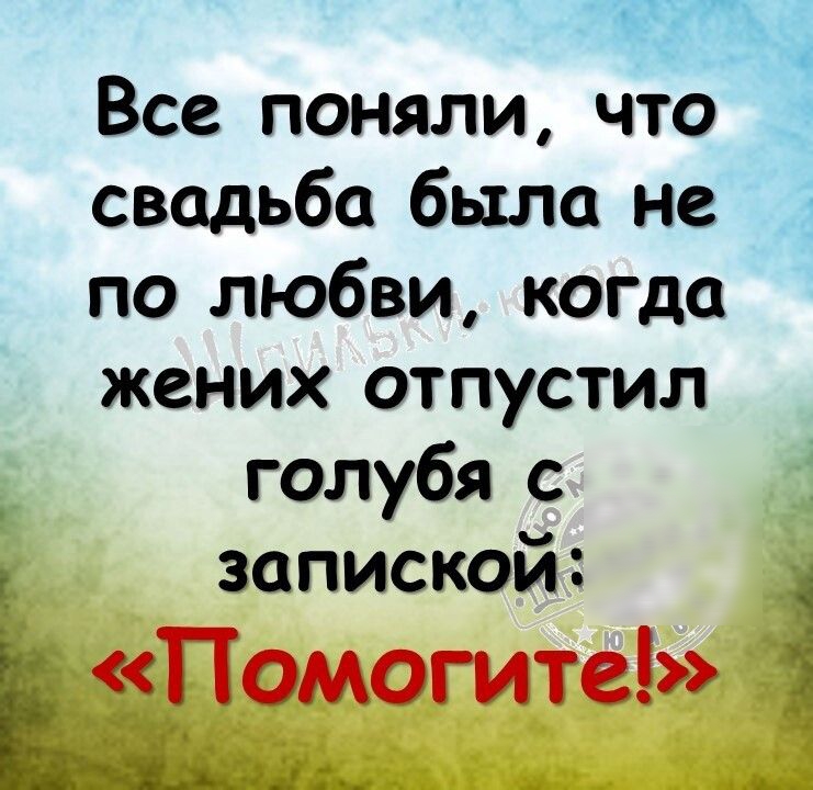 Все поняли что свадьба было не по любви когда жених отпустил голубя с запиской Помогите 7Щь