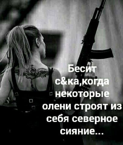 оленис роят себя северное сияние