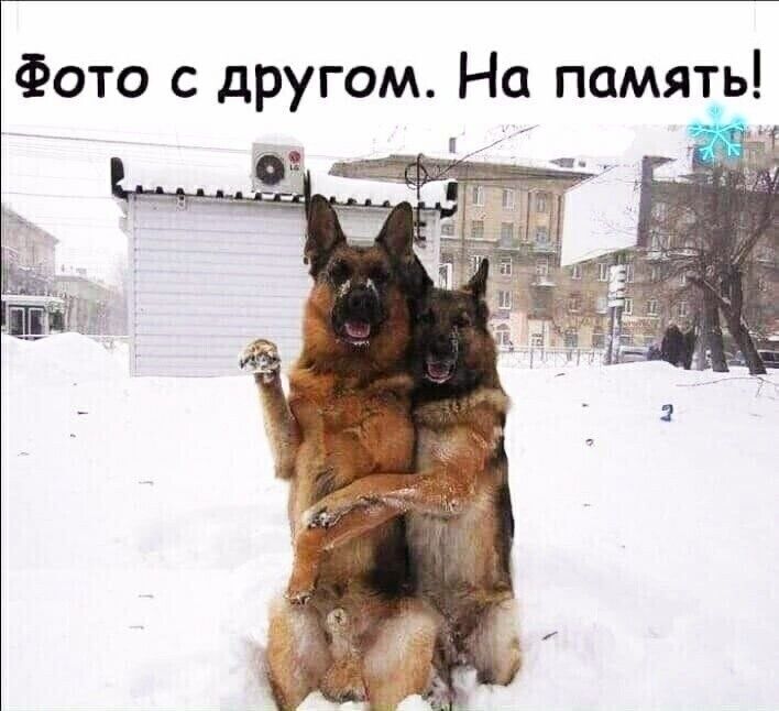 Фото с другом На память