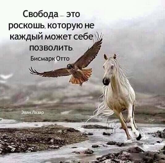 Свобода это роскошь которую не каждый может себе позволить Бисмарк Огго