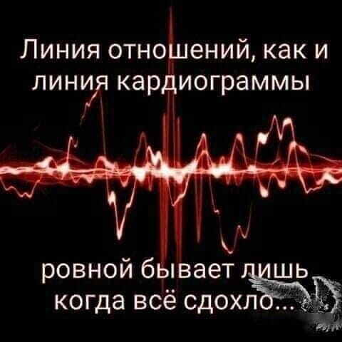 Линия отноЬений как и линйч кардиограммы ровной б вает когда всё сдохлёіщ пт