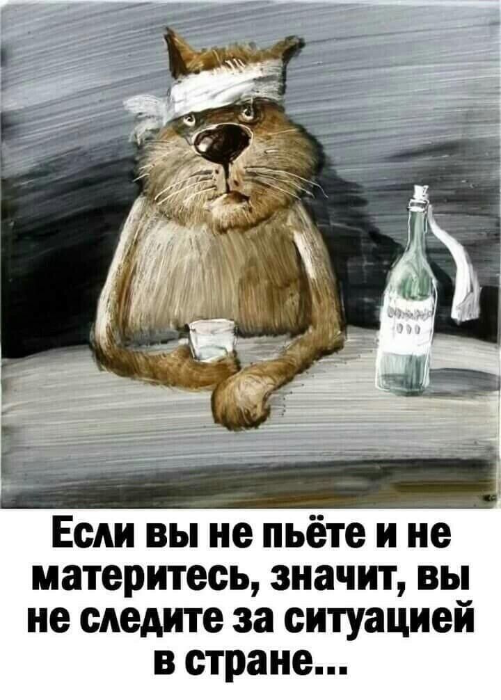 Если вы не пьёте и не материтееь значит вы не следите за ситуацией в стране