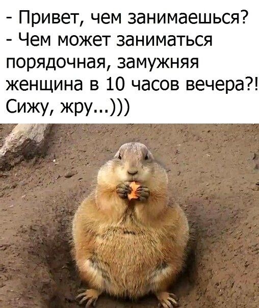 Привет чем занимаешься Чем может заниматься порядочная замужняя женщина в 10 часов вечера Сижу жру