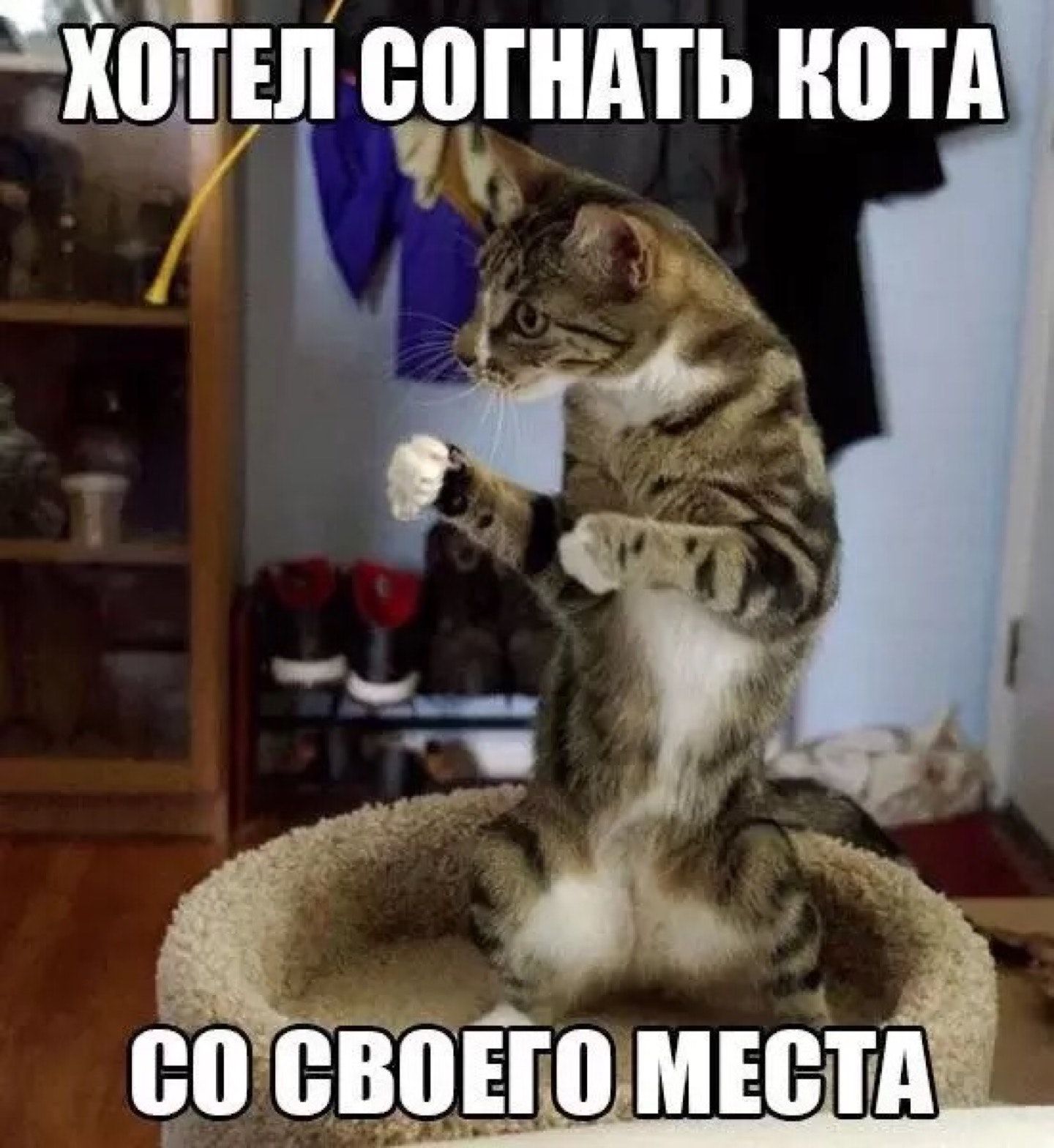 С со своего места