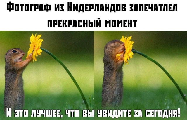 ФПТПППФ И НИДЕРЛПНДПВ ППЕЧПТЛШ ПРЕКМШЫЙ МПМЕНТ ЭТП ЛНЧШЕЕ ЧТП ВЫ НВИдИТЕ Я ЕЕГПдНП