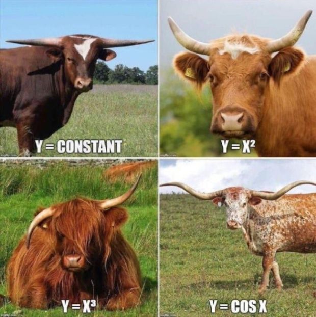 Ю  с05х м