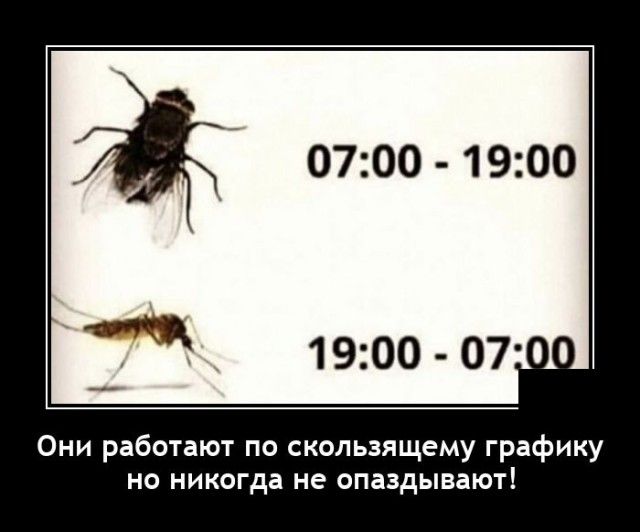 5 0700 1900 1900 07 Они работают по скользящему графику но никогда не опаздывают