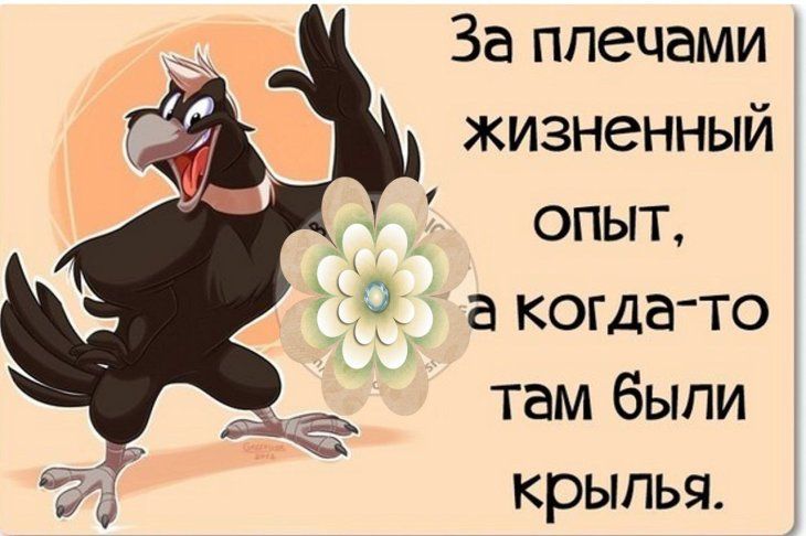 За плечами жизненный опыт ТС а когда то там были крылья