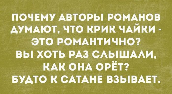 почему Авторы ромнов АУМАЮТ что крик ЧАЙКИ это РОМАНТИЧНО вы хоть РАЗ САЫШААИ КАК ОНА орЁп БУАТО к САТАНЕ взывмзт