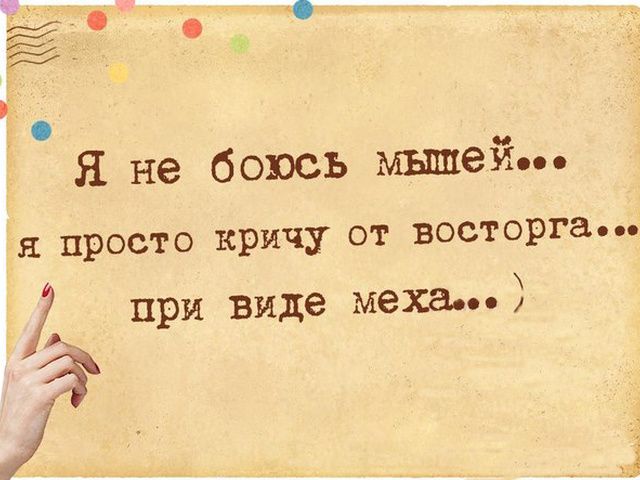 Я не боюсь мышей просто кричу от восторга при виде меха