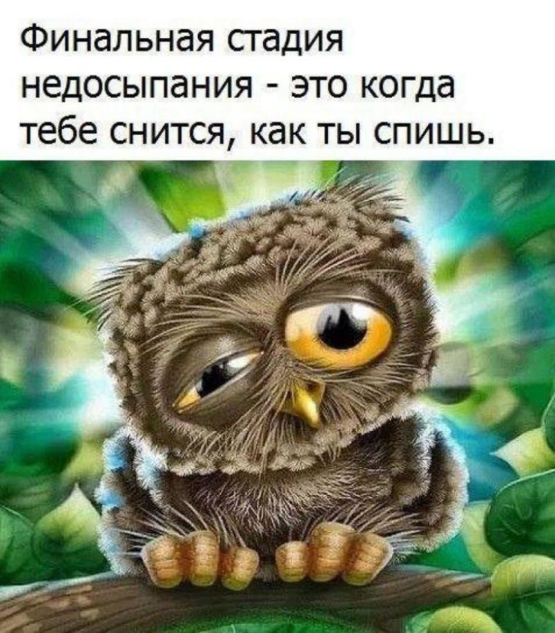 Финальная стадия недосыпания это когда тебе снится как ты спишь