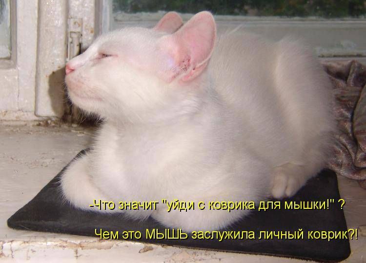 О