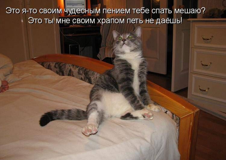Это я то своим ЁЬЫМ пением тебе спать мешаю ЭТО тымне СВОИМ храпом петь не даёшь
