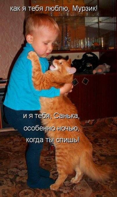как я тебя люблю Мурзик и я теЁЕ Санька особегарночью когда твцрпишь