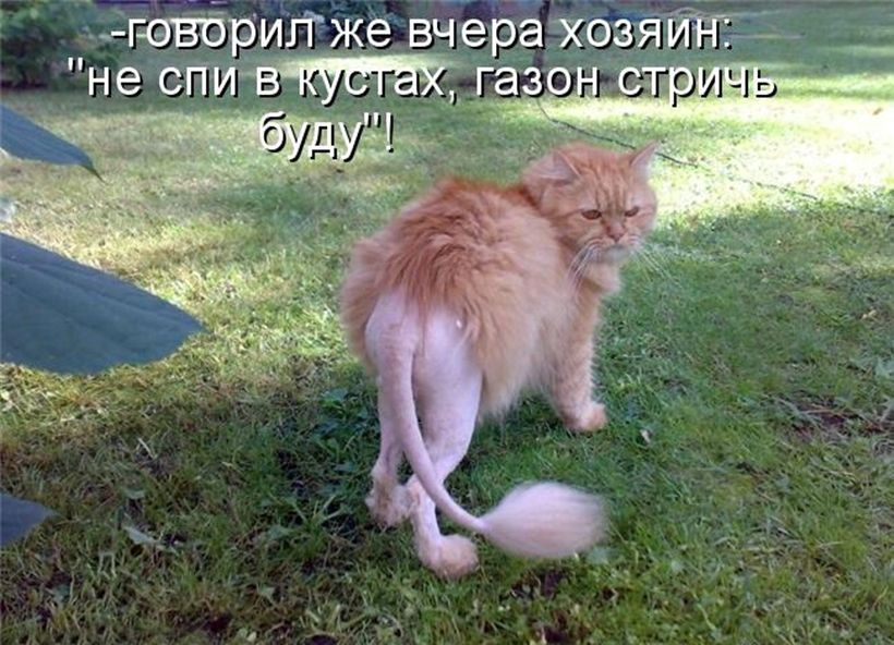 Эговсриггке вчера хозя 