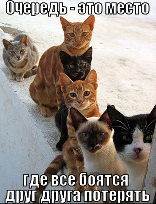 Едем все боятся дішпшшьпотепять