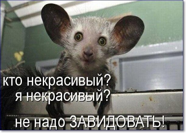 нетад ОЪЗЁЗМДЁВЁГЁ