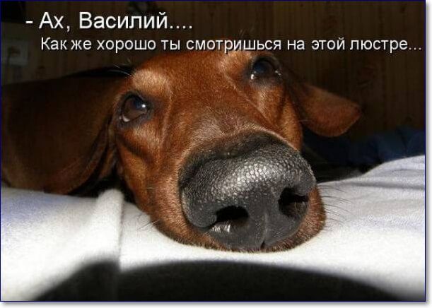 Ах Василий Как же ХОРОШО ТЫ СМОТРИШЬСЯ на ЭТОЙ люстре