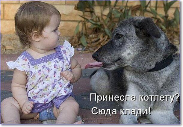принесл котлет сюда  ,