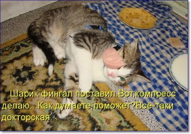 Ёдокторска